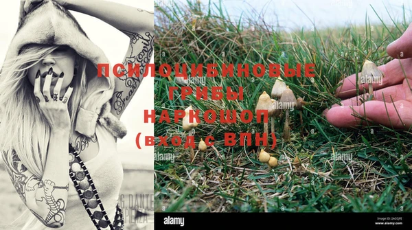 гашишное масло Осинники